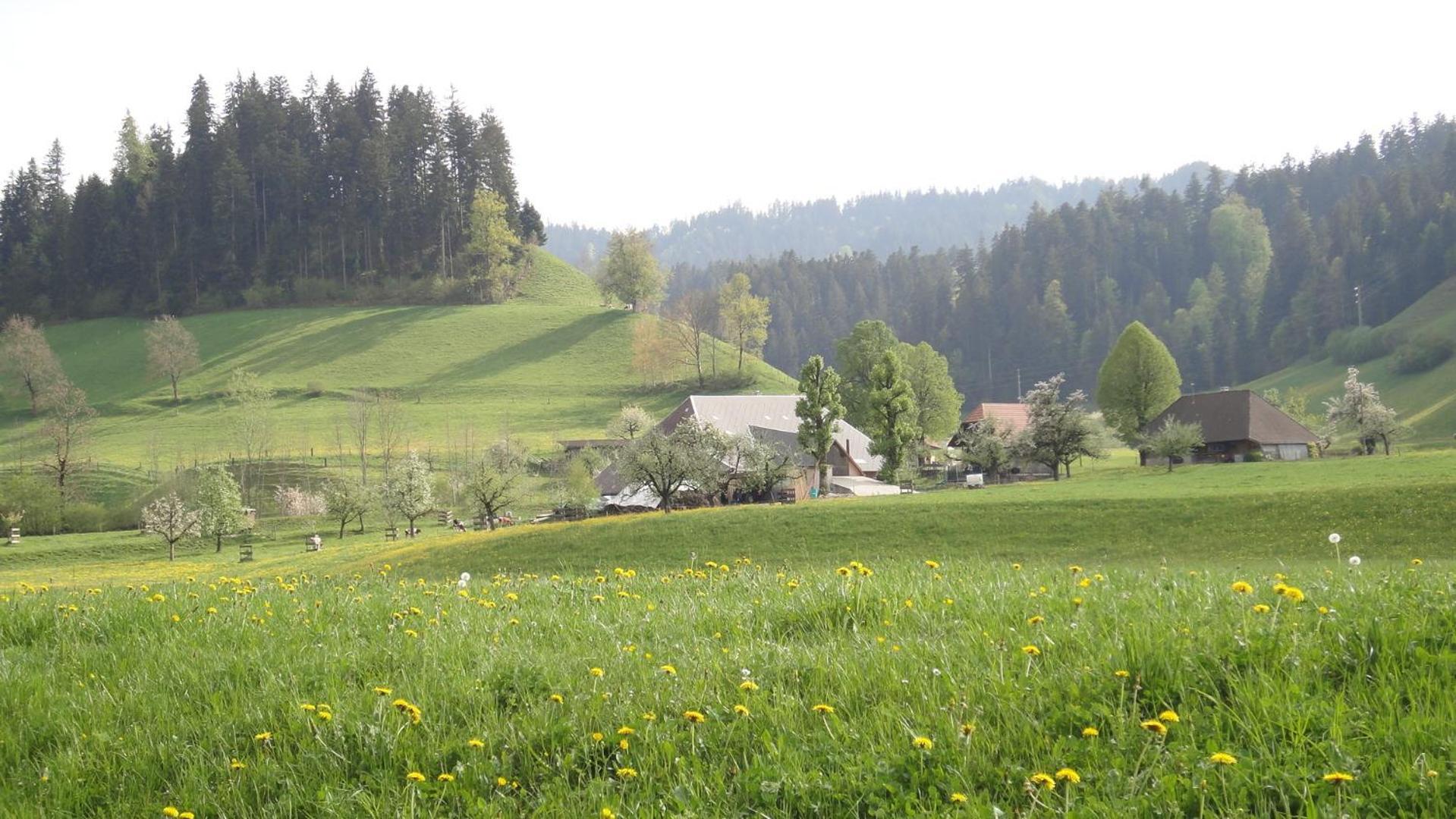 Landgasthof-Hotel Adler Langnau im Emmental Eksteriør billede
